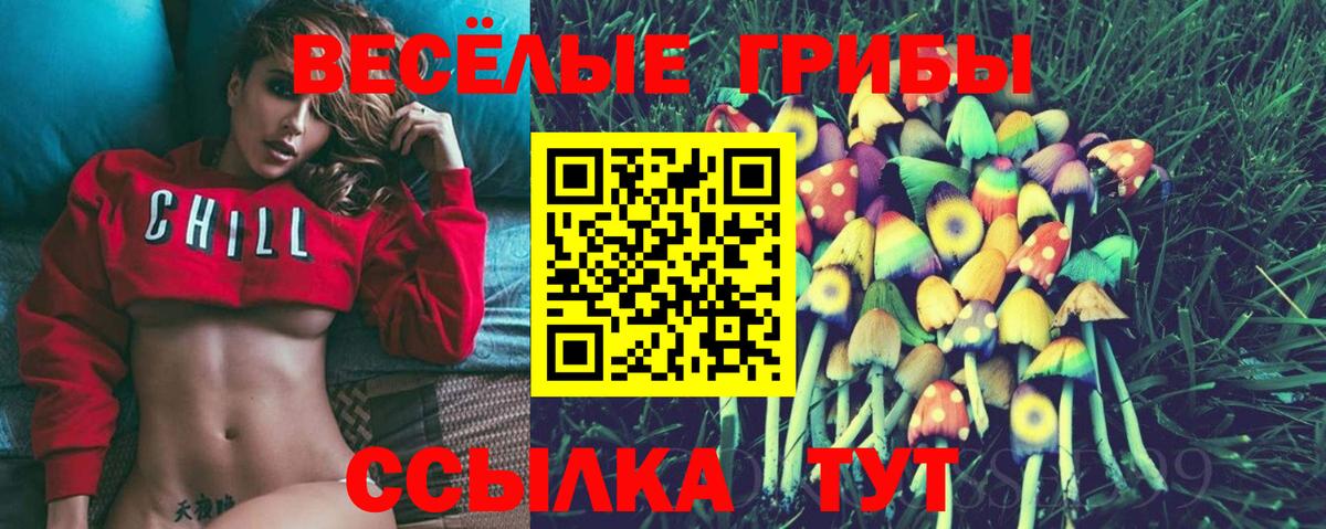Галлюциногенные грибы прущие грибы Шебекино