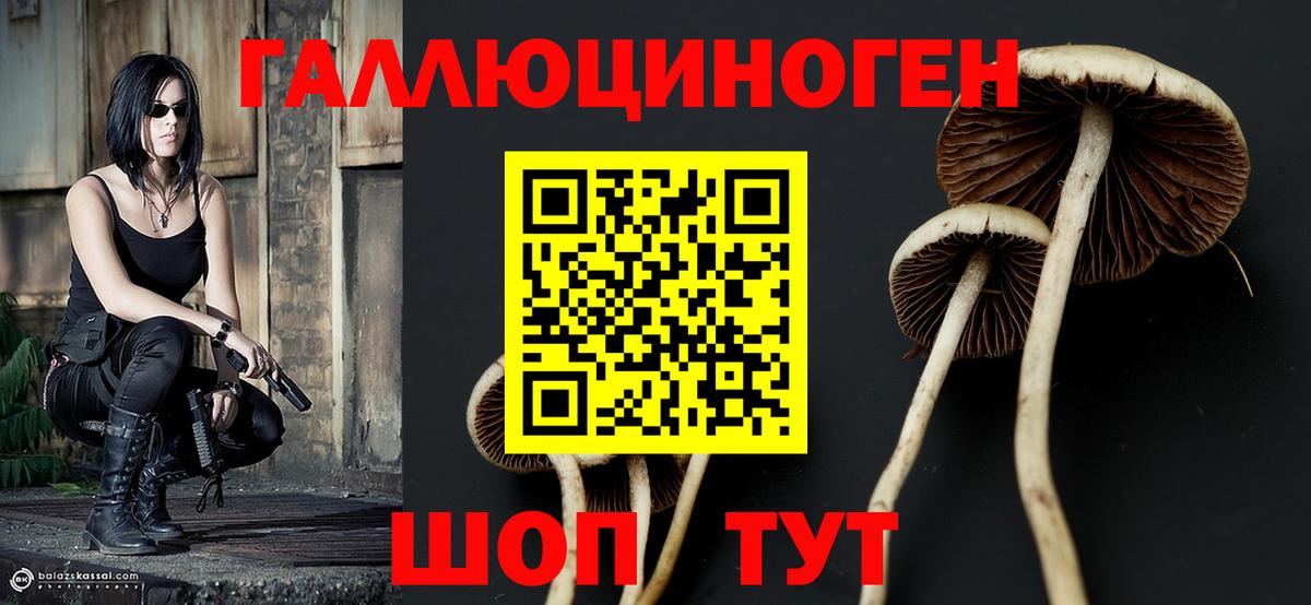 Шебекино  Псилоцибиновые грибы мухоморы  Вход с VPN 